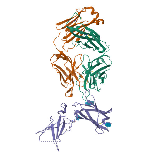 小鼠IL-4 R alpha蛋白-ACROBiosystems百普赛斯