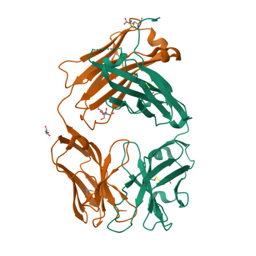 小鼠IL-6蛋白-ACROBiosystems百普赛斯