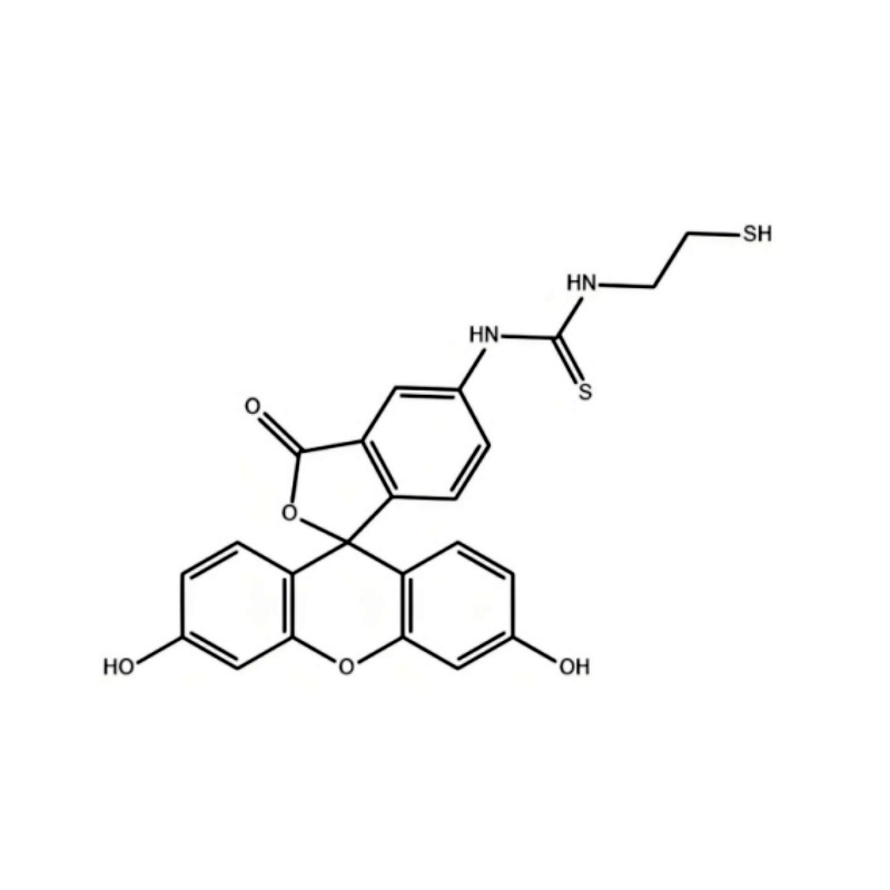 异硫氰基荧光素-巯基；荧光素标记巯基