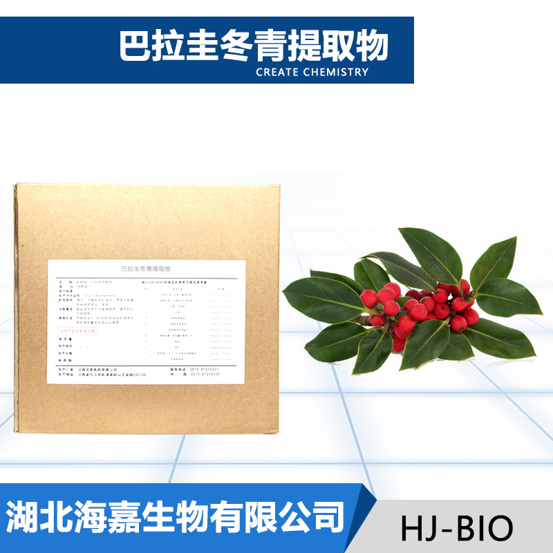 巴拉圭冬青提取物厂家