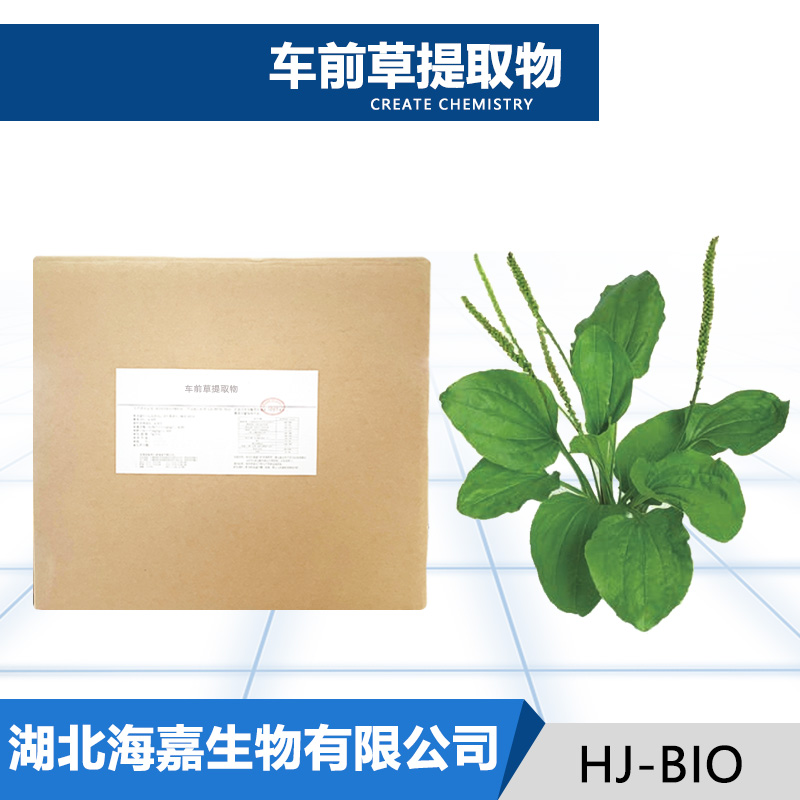 车前草提取物厂家