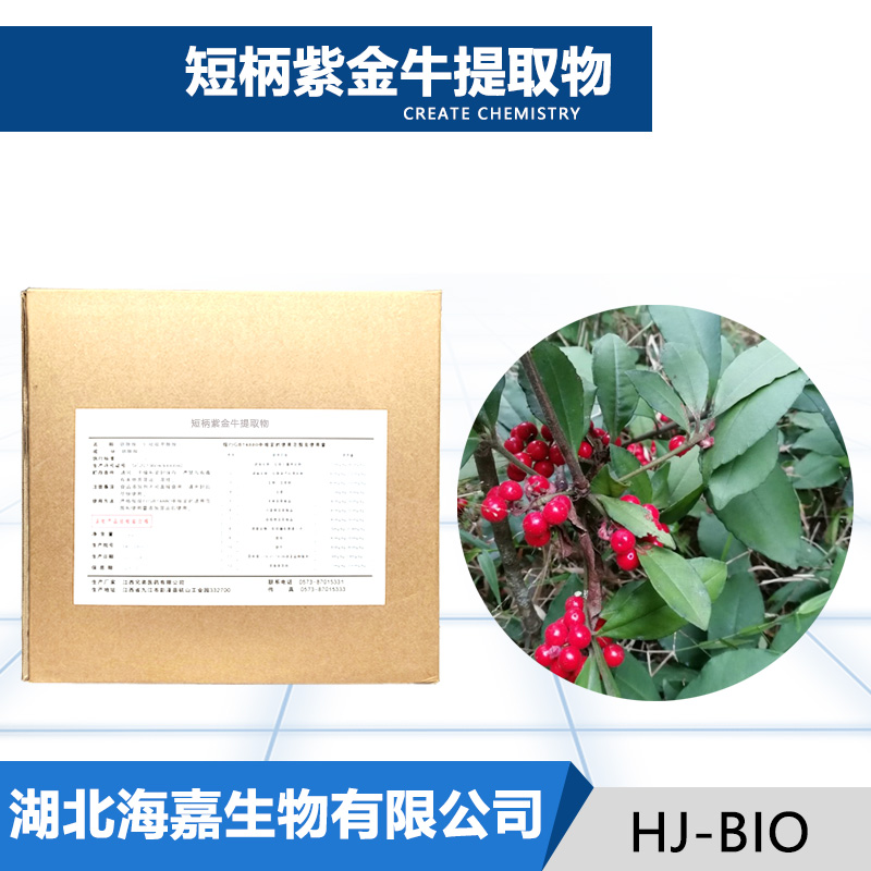 短柄紫金牛提取物厂家