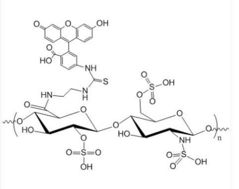 FITC-肝素，FITC-Heparin，异硫氰酸荧光素标记的肝素