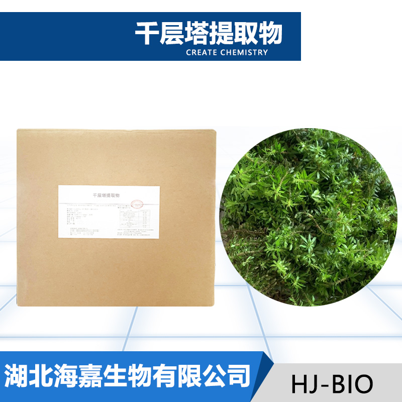 千层塔提取物厂家
