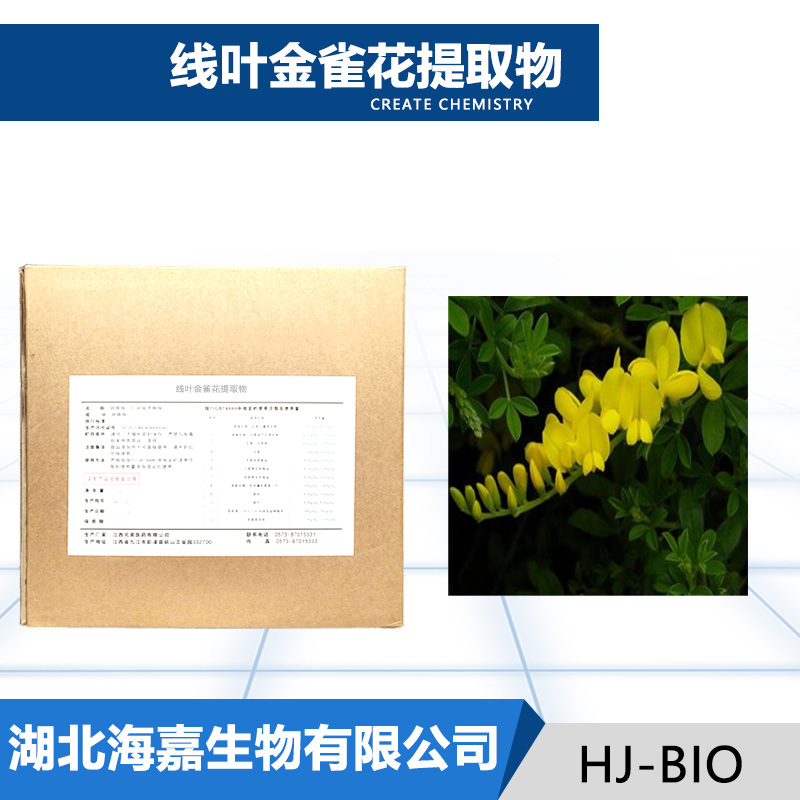 线叶金雀花提取物厂家