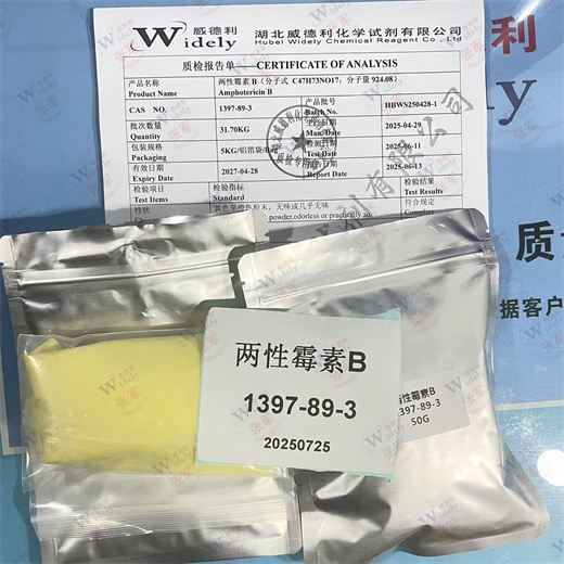 两性霉素B