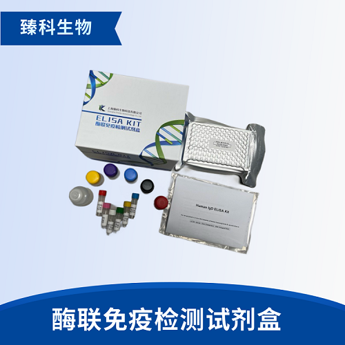 大鼠脱氧吡啶酚/脱氧吡啶啉(DPD）elisa试剂盒