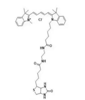 CY5-生物素，Cy5-Biotin，花菁染料 Cy5 标记的生物素，Cyanine 5-labeled Biotin