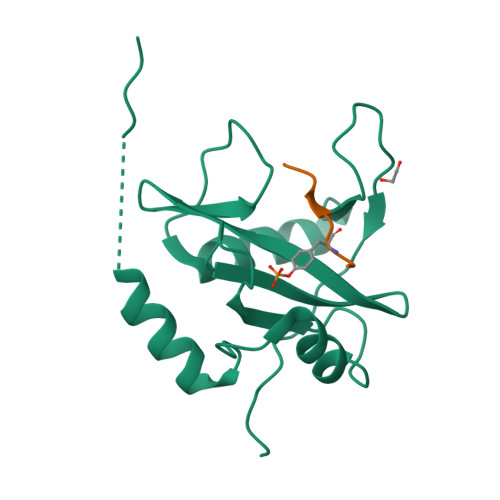 小鼠CD117蛋白-ACROBiosystems百普赛斯