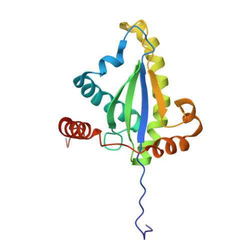 重组人TNFR1蛋白-ACROBiosystems百普赛斯