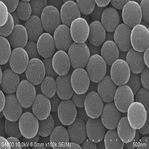 氮掺杂介孔碳球，Nitrogen-doped Mesoporous Carbon Spheres ，NMCS