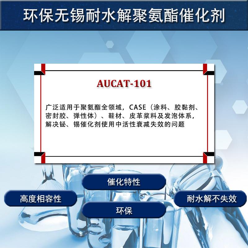 AUCAT-101详1.jpg