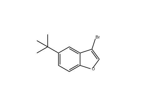 3-溴-5-叔丁基苯并呋喃