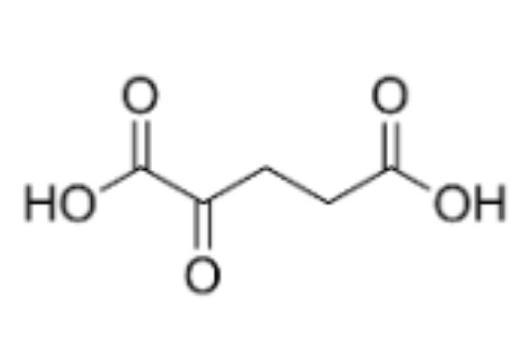 酮戊二酸；AKG