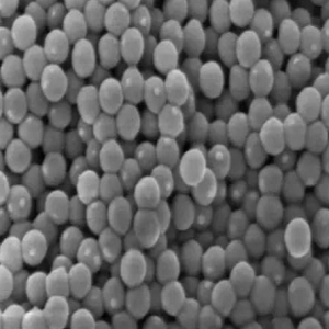  季铵阳离子聚合物微球，Quaternized Ammonium Polymer Microspheres