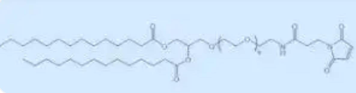 DMG-PEG-MAL.png DMG-PEG-MAL.png