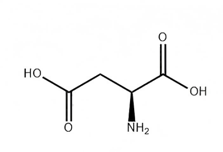 L-天门冬氨酸