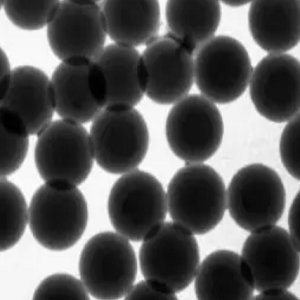 稀土铕时间分辨荧光微球，Eu-TRF Microspheres