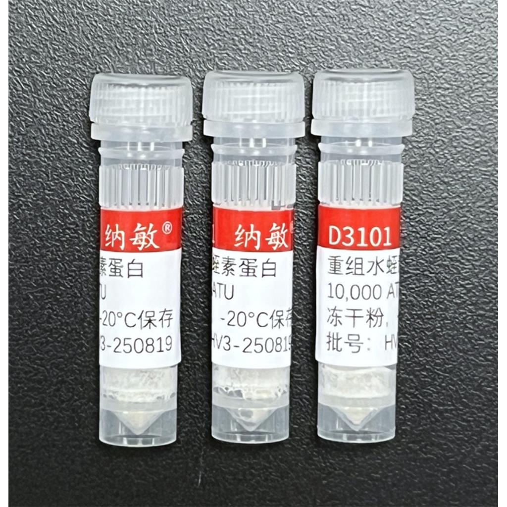 水蛭素（重组蛋白 高活性 高纯度）