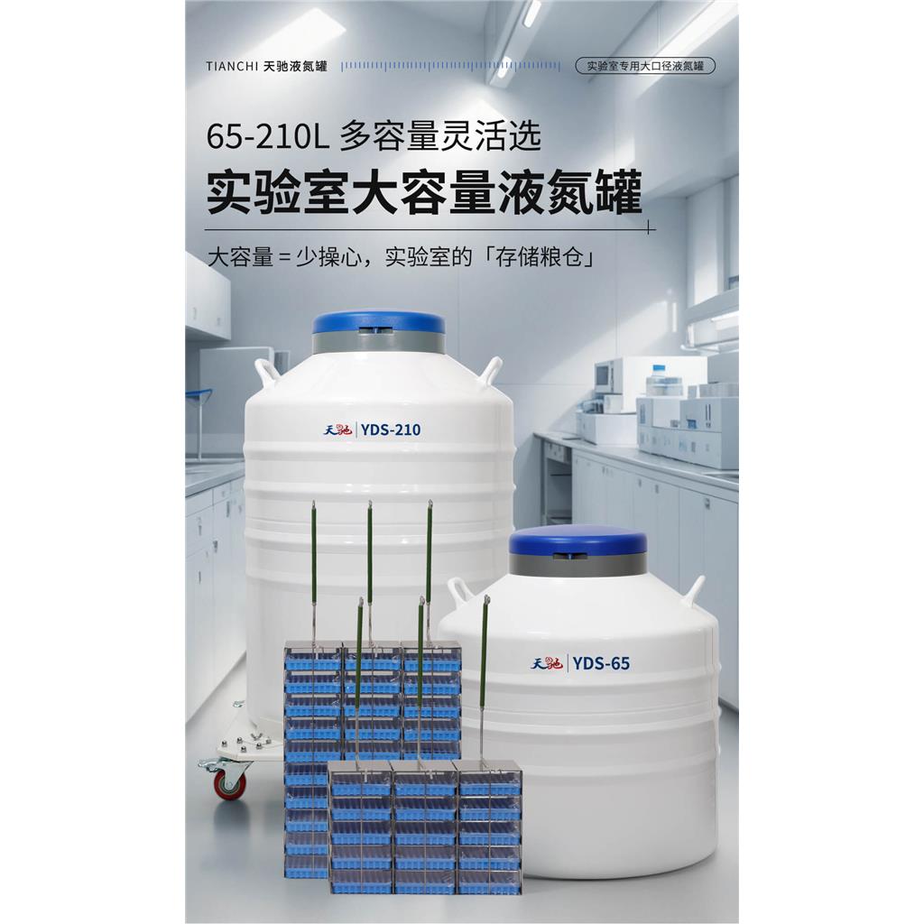 液氮罐厂家 天驰液氮罐 细胞储存液氮罐
