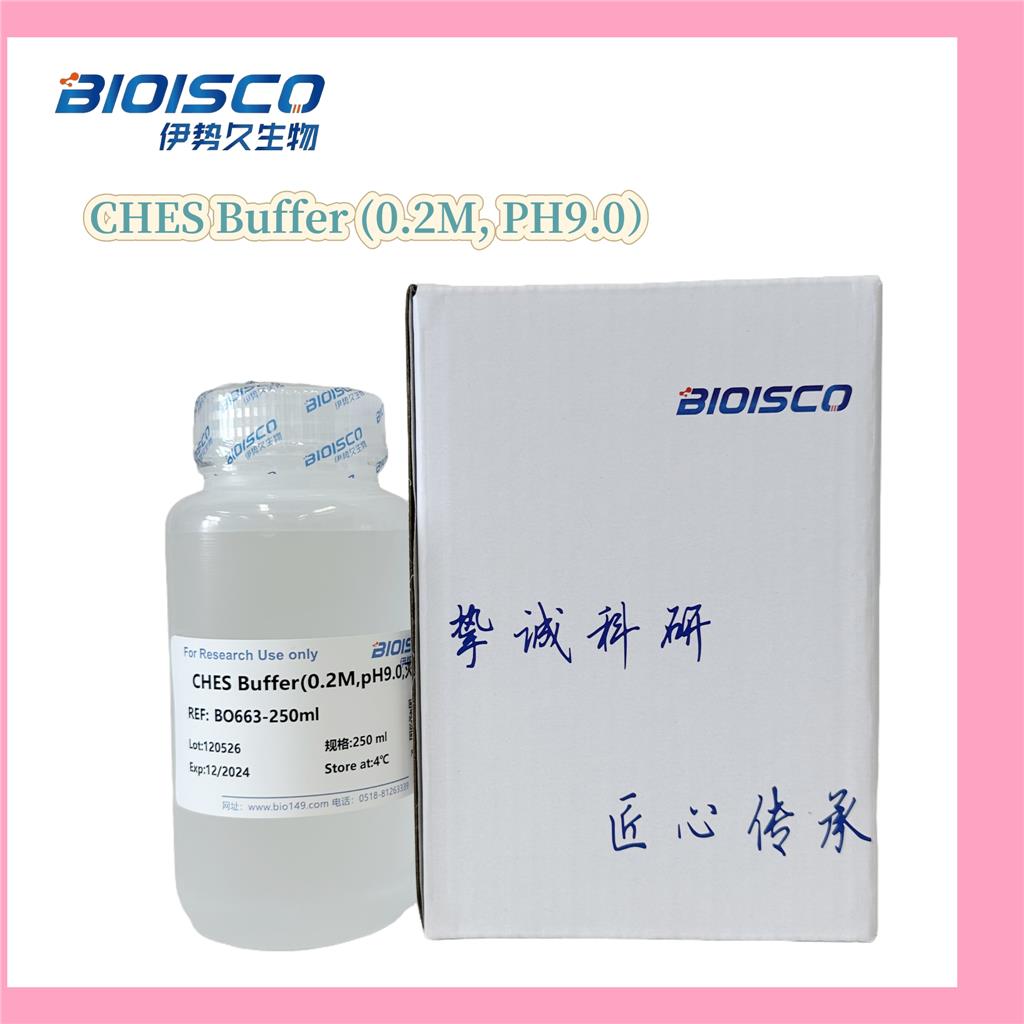 CHES 缓冲液（0.2M，pH 9.0）