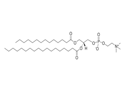 MSPC磷脂 14:0-18:0 PC 76343-22-1 1-肉豆蔻酰基-2-硬脂酰磷脂酰胆碱
