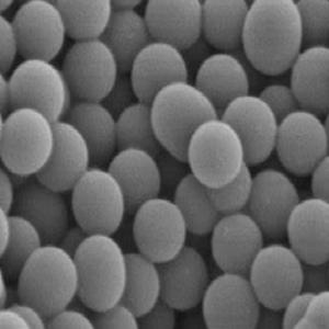 C18硅胶磁性吸附微球，C18-Silica Magnetic Microspheres