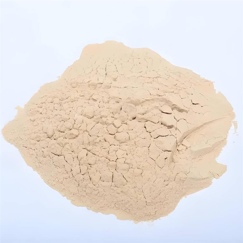 异淀粉酶；异淀粉酶原粉；淀粉脱枝酶