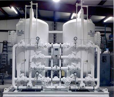 异淀粉酶；异淀粉酶原粉；淀粉脱枝酶