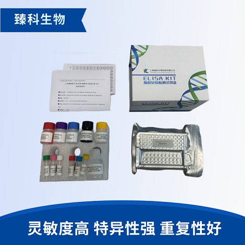 大鼠白介素8(IL-8/CXCL8）elisa试剂盒