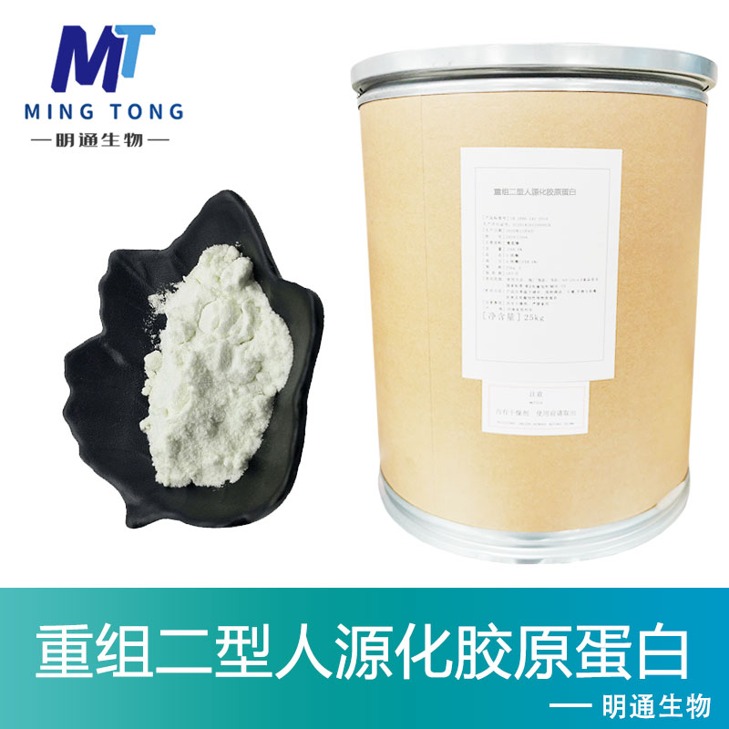 重组二型人源化胶原蛋白