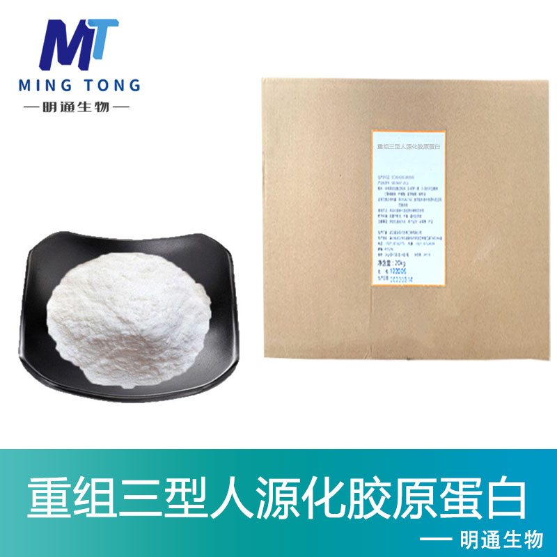 重组三型人源化胶原蛋白