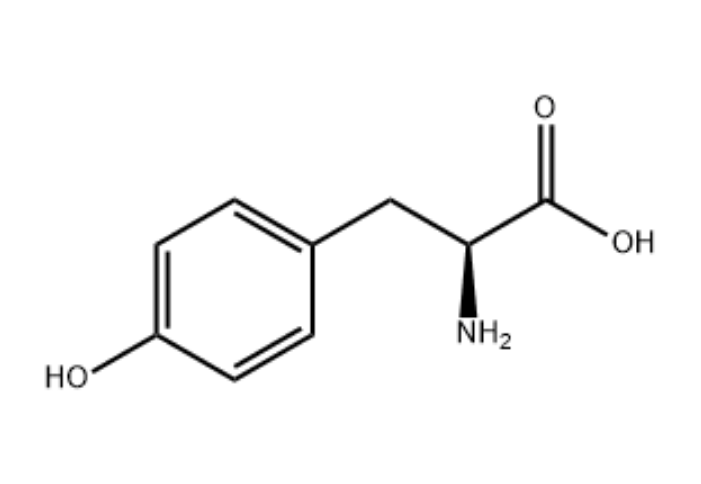L-酪氨酸