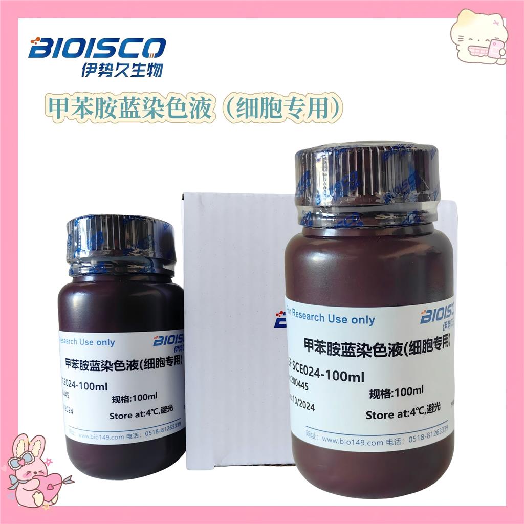 甲苯胺蓝染色液（细胞专用）