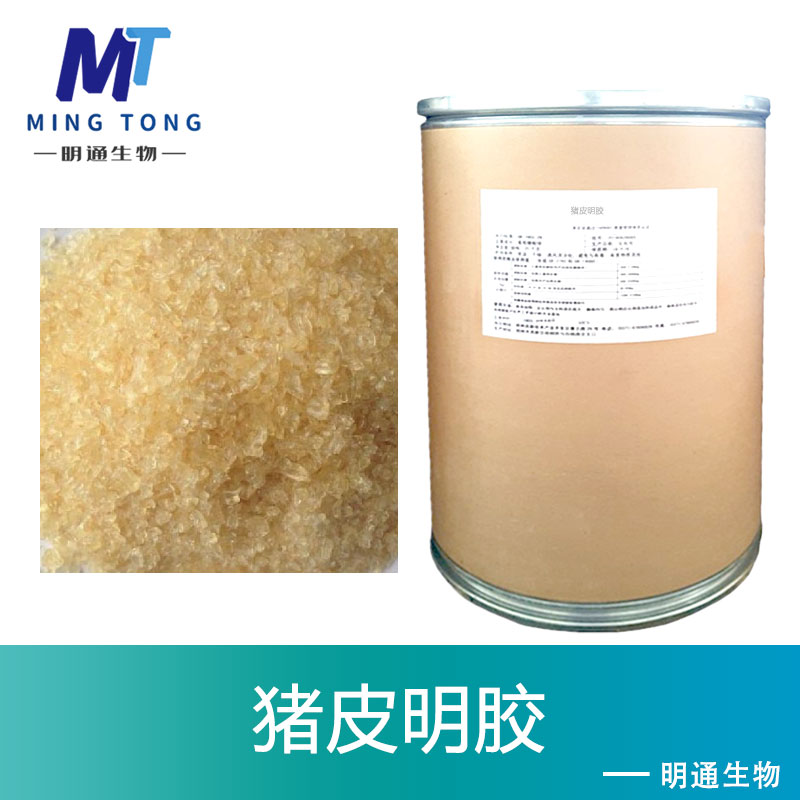 猪皮明胶