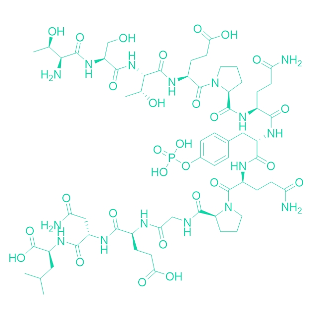 调控域直链多肽/149299-77-4/pp60 C-SRC Carboxy-Terminal Phosphoregulatory Peptide Phosphorylated
