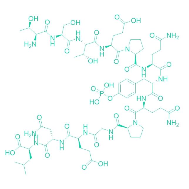 pp60 C-SRC Carboxy-Terminal Phosphoregulatory Peptide Phosphorylated 149299-77-4.png