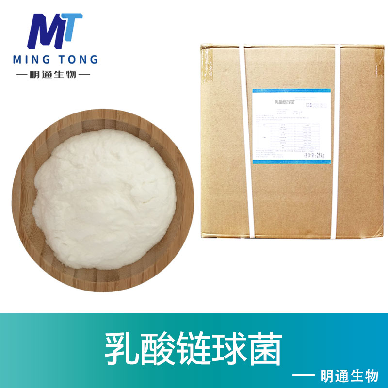 乳酸链球菌