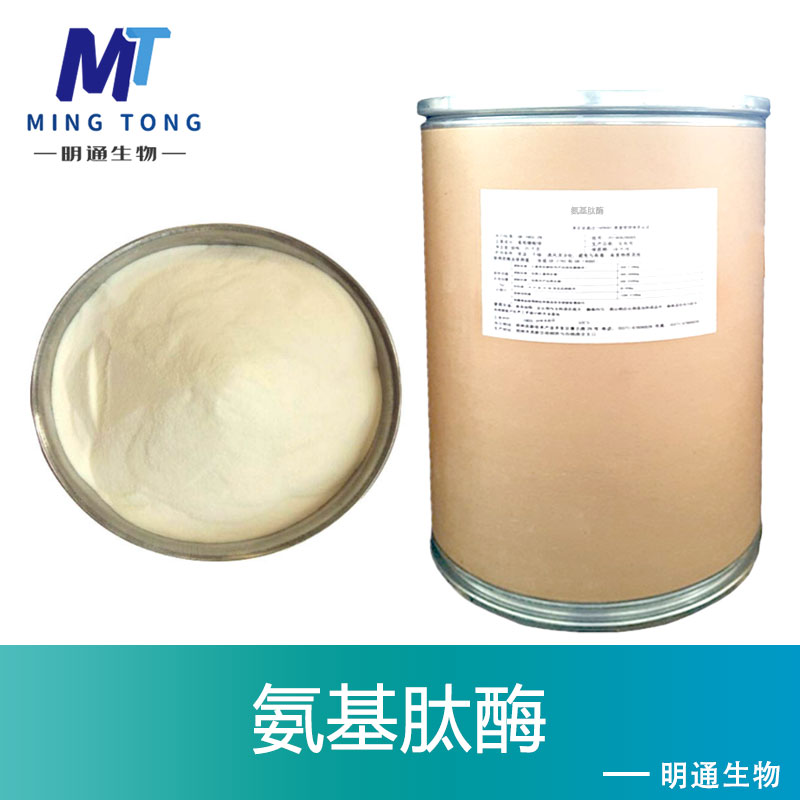 氨基肽酶