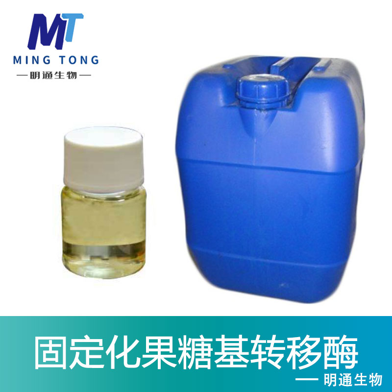 固定化果糖基转移酶