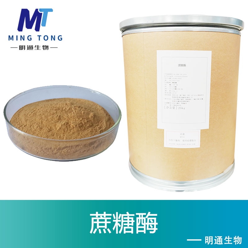 蔗糖酶