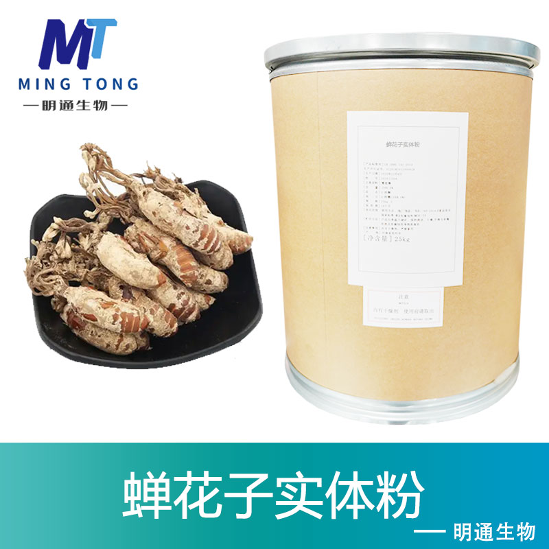 蝉花子实体粉