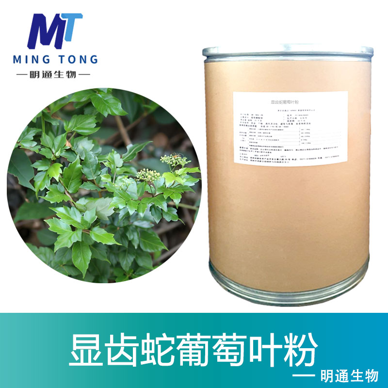 显齿蛇葡萄叶粉