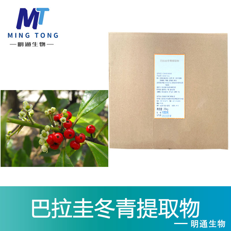 巴拉圭冬青提取物