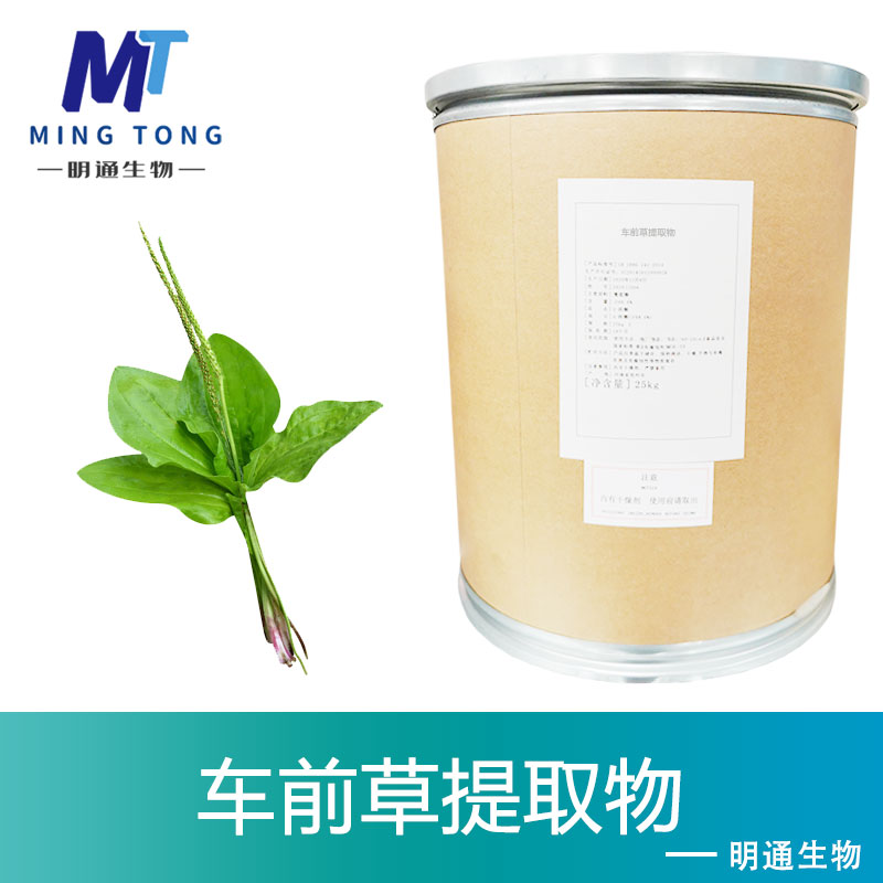 车前草提取物