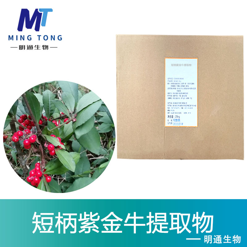 短柄紫金牛提取物