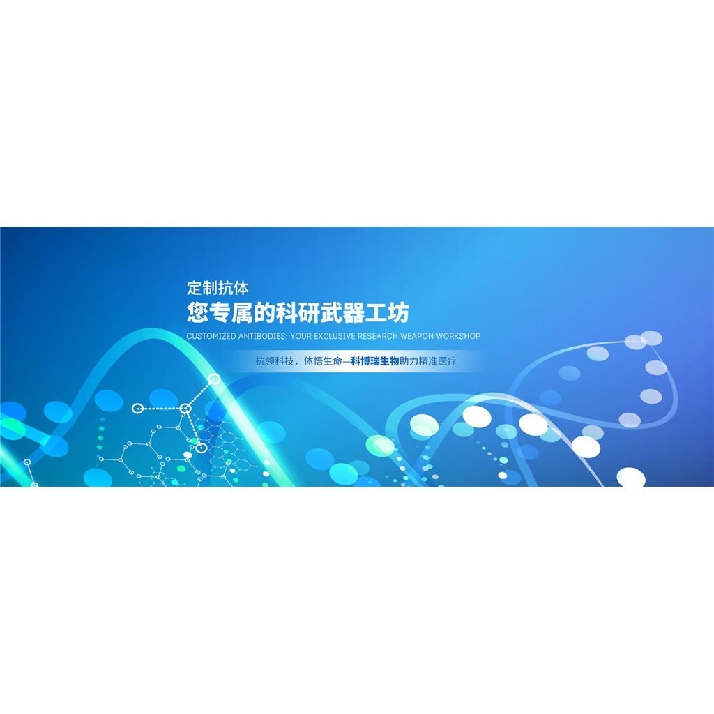 乳腺癌组织芯片，系列3