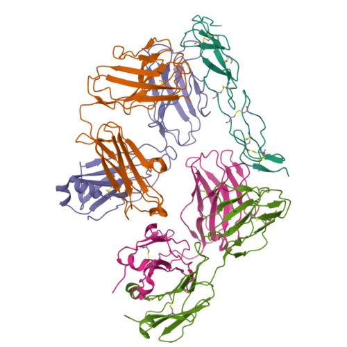 重组人TNFR2蛋白-ACROBiosystems百普赛斯