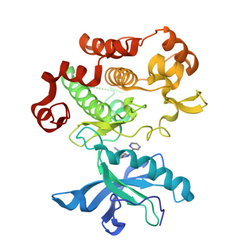 小鼠IGF-I R/CD221蛋白-ACROBiosystems百普赛斯