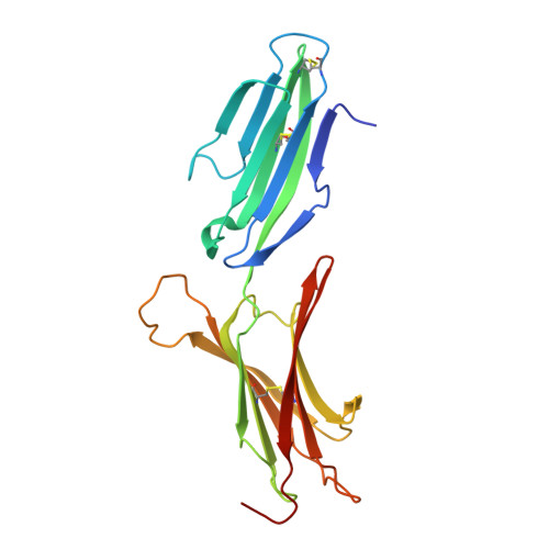重组人MAdCAM-1蛋白-ACROBiosystems百普赛斯